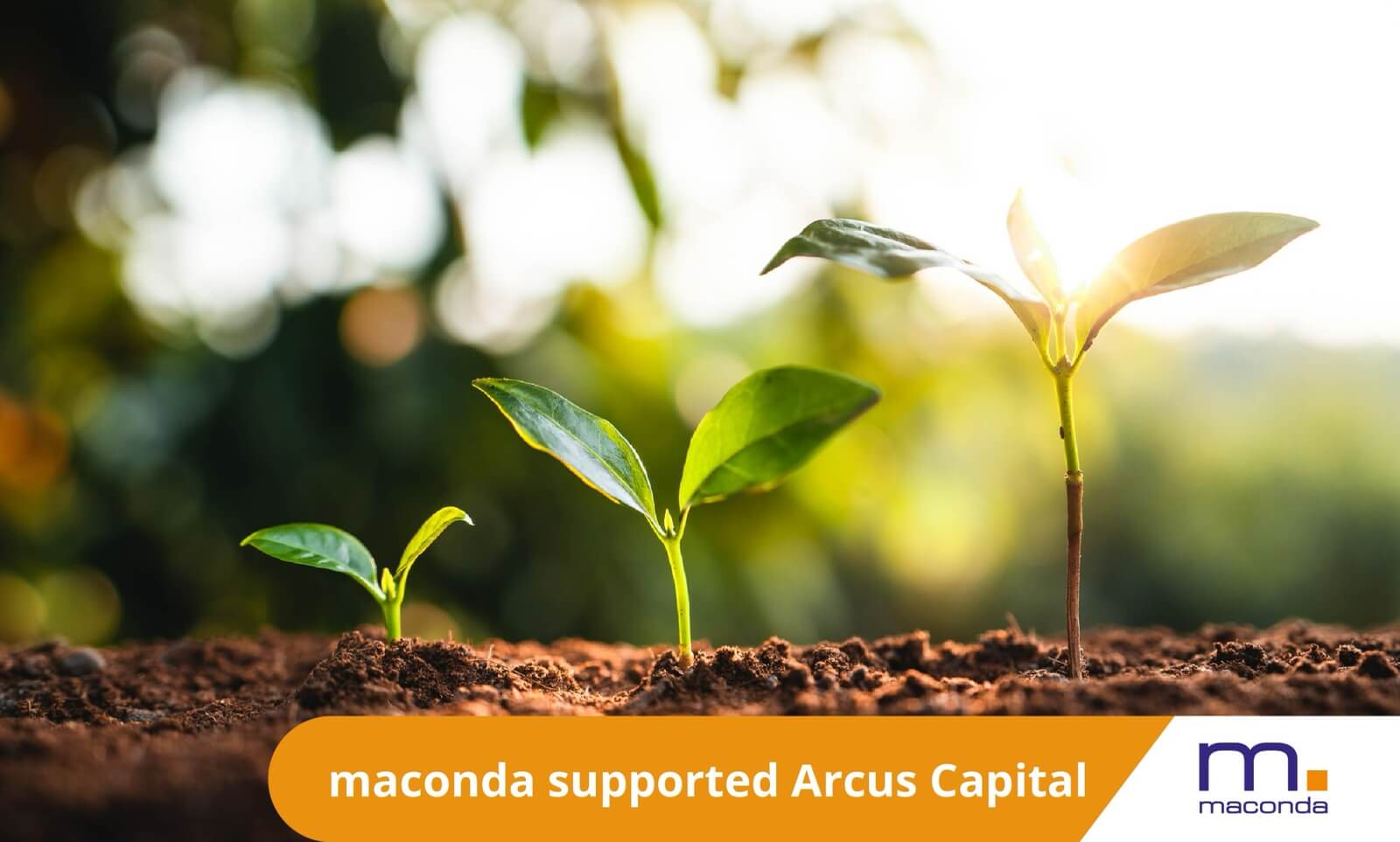 maconda News Dealbanner Arcus Capital 241220 - maconda Sun drenched earth with three small green seedlings orange banner maconda supported Arcus Capital next to the maconda logo